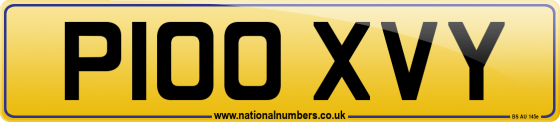 P100 XVY