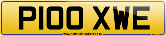 P100 XWE