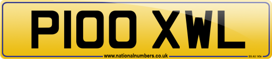P100 XWL