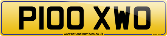 P100 XWO