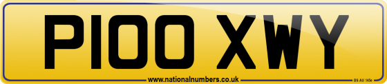 P100 XWY