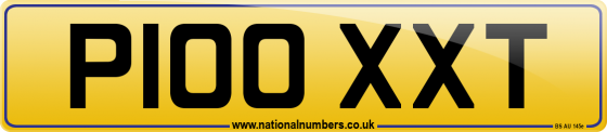 P100 XXT