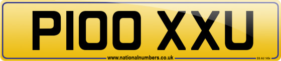 P100 XXU