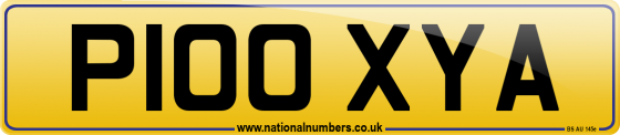 P100 XYA
