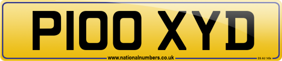 P100 XYD