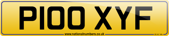 P100 XYF