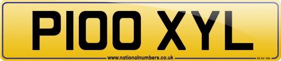 P100 XYL