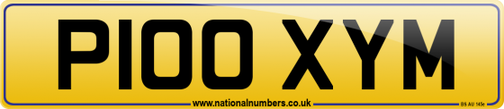 P100 XYM