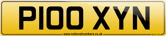 P100 XYN