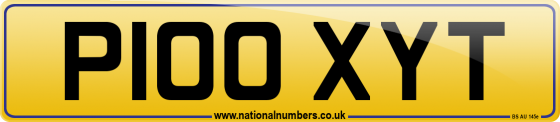 P100 XYT