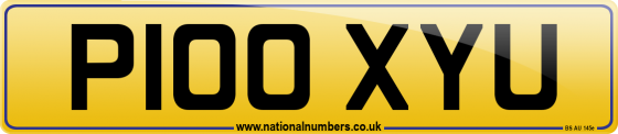 P100 XYU