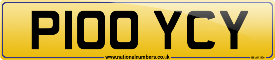 P100 YCY