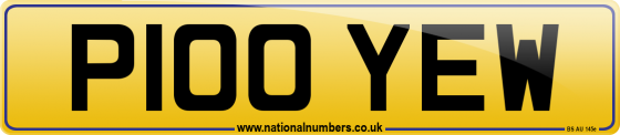 P100 YEW
