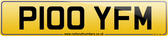 P100 YFM