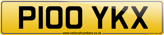 P100 YKX