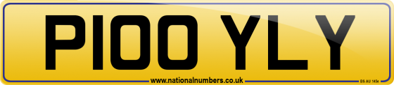 P100 YLY
