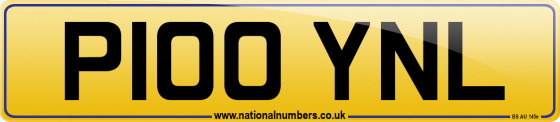 P100 YNL