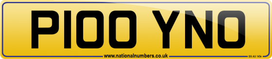 P100 YNO
