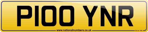 P100 YNR