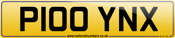 P100 YNX