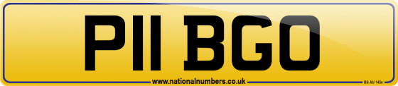 P11 BGO