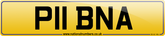 P11 BNA