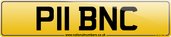 P11 BNC