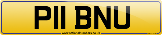 P11 BNU
