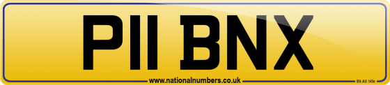 P11 BNX