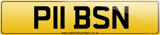 P11 BSN
