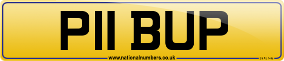 P11 BUP