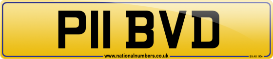 P11 BVD