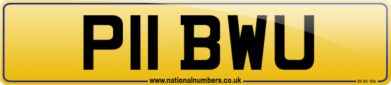 P11 BWU