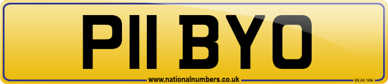 P11 BYO