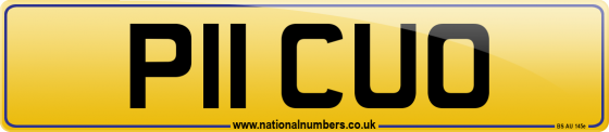 P11 CUO