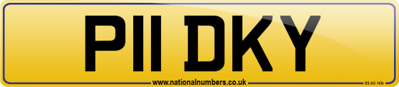 P11 DKY