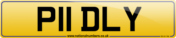 P11 DLY