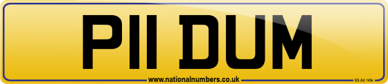 P11 DUM