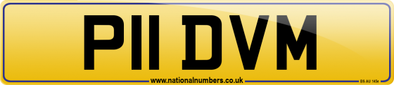 P11 DVM