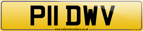 P11 DWV