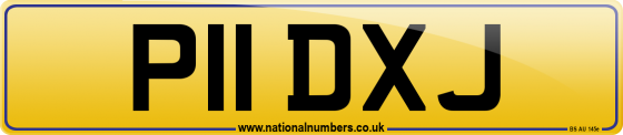 P11 DXJ