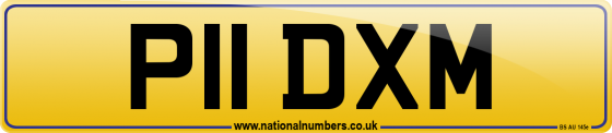 P11 DXM