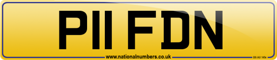 P11 FDN