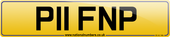 P11 FNP
