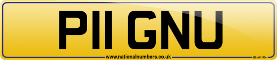 P11 GNU