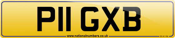 P11 GXB