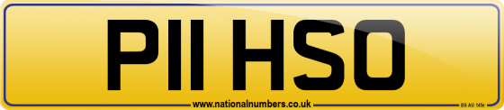 P11 HSO