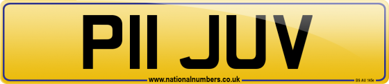 P11 JUV
