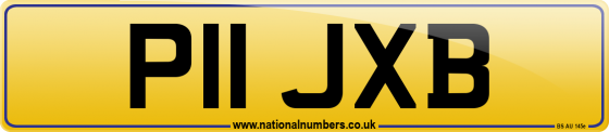 P11 JXB