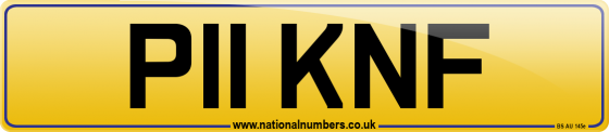 P11 KNF
